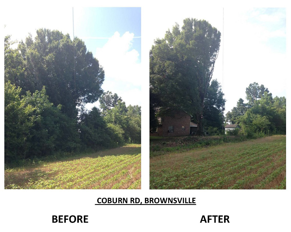 14-COBURN-RD-BEFORE-AFTER